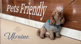 Pet-Friendly Stay