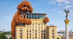 Pet-Friendly Stay