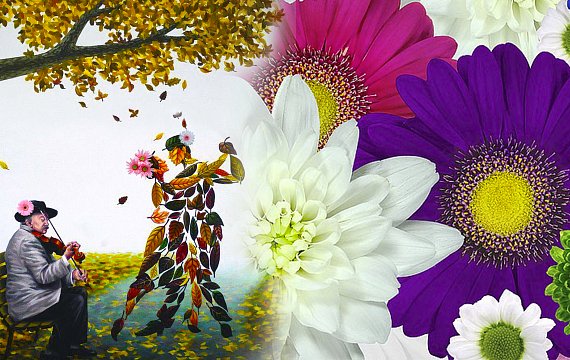 Chrysanthemum Ball - Queen of Autumn.