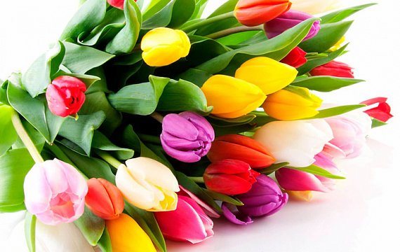 Happy March 8!